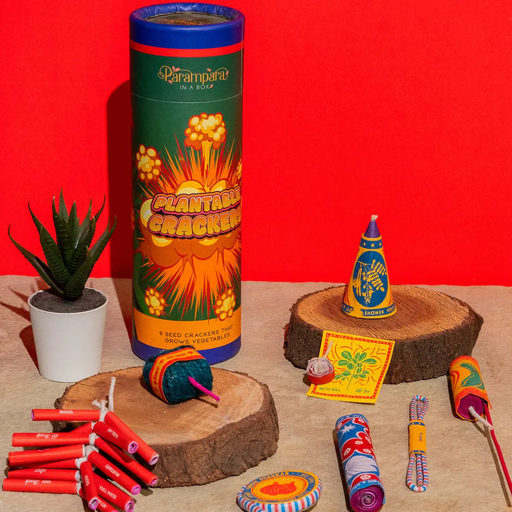 Plantable Fire Crackers Gift Hamper For Diwali | Includes 8 Crackers