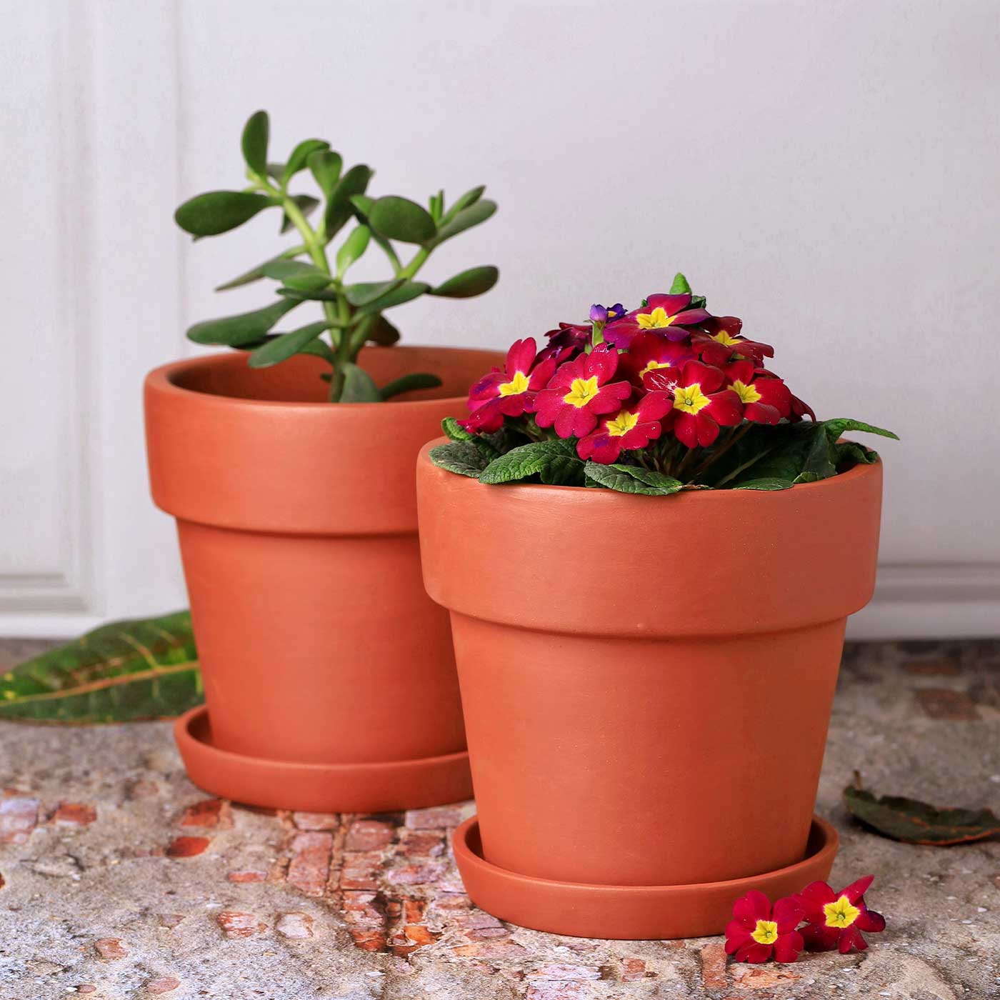 SRL.ROUNDTYPE PLANT POT-M カタチ製作所 Buy Handmade Large 7 Inch Gamala Planter Terracotta Planter Pot