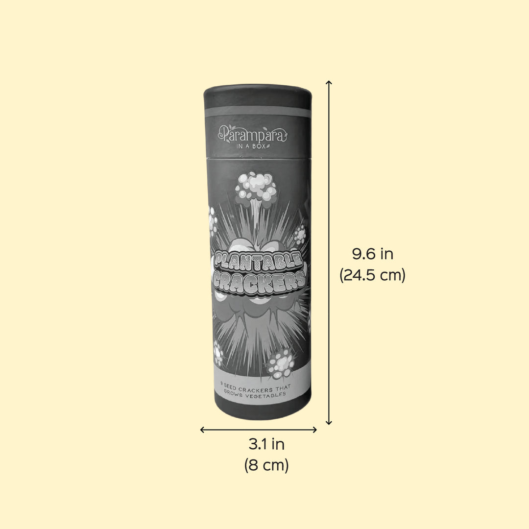 Plantable Fire Crackers Gift Hamper For Diwali | Includes 8 Crackers