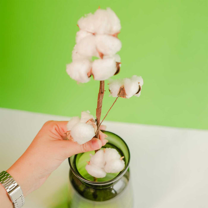 Handmade Emerald Green Glass Vase With Cotton Stem