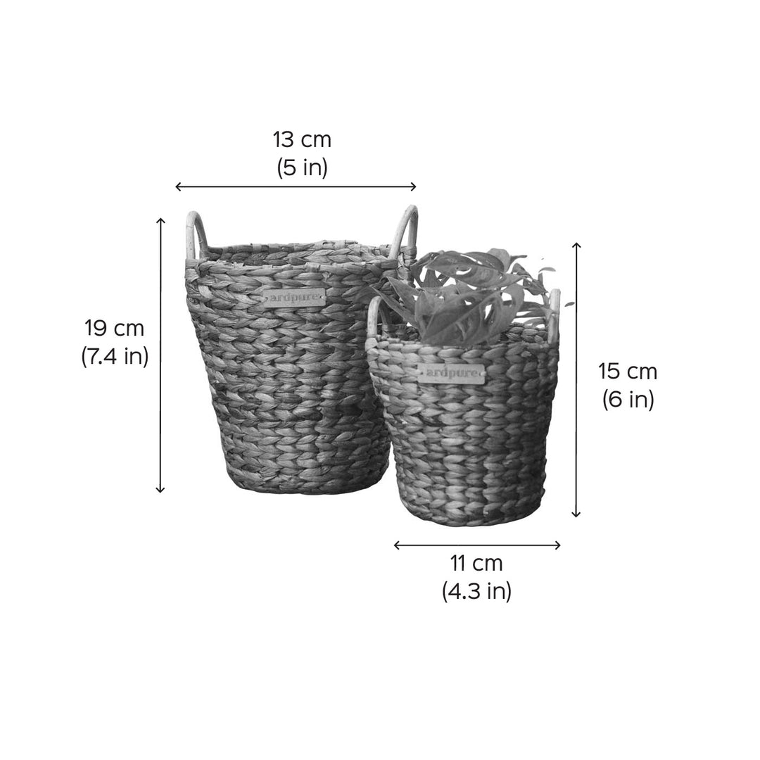 Handmade Wicker Water Hyacinth Planter Pot with Handles | Set Of 2