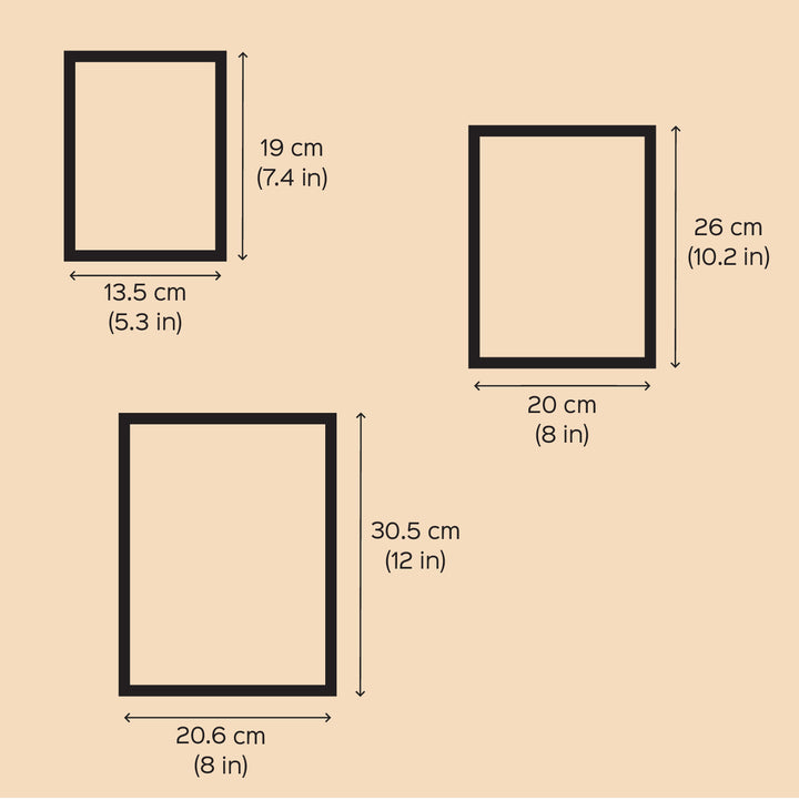 Peacock Feather Design Hand Embroidered Photo With Wooden Frame