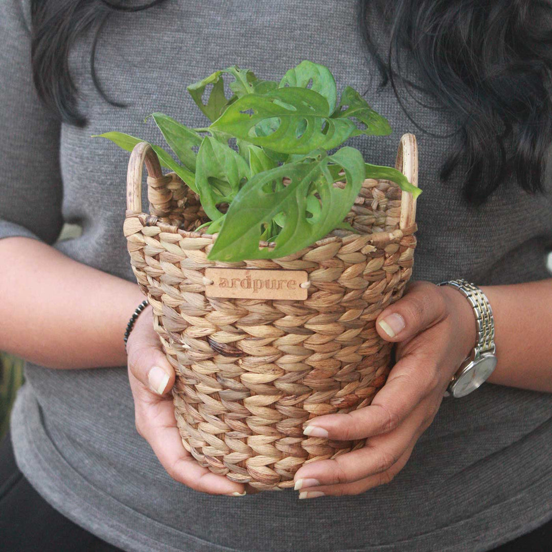 Handmade Wicker Water Hyacinth Planter Pot with Handles | Set Of 2