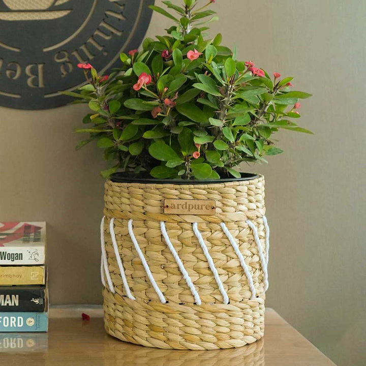 Handmade Yuri Water Reed Planter
