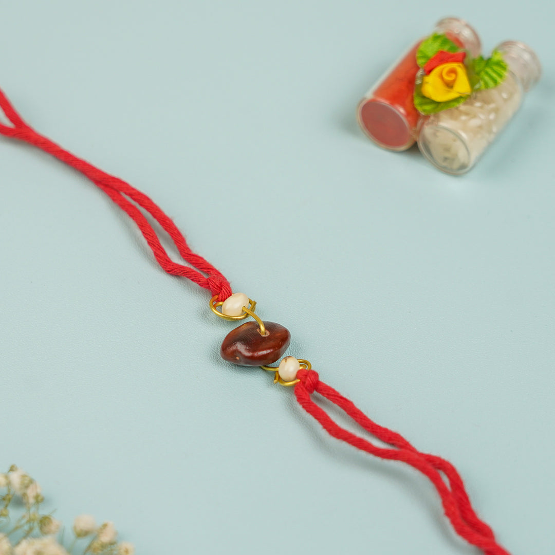 Handmade Spiral Tamarind White Gunj Design Seed Rakhi For Brother - Full Length View on Flat Surface