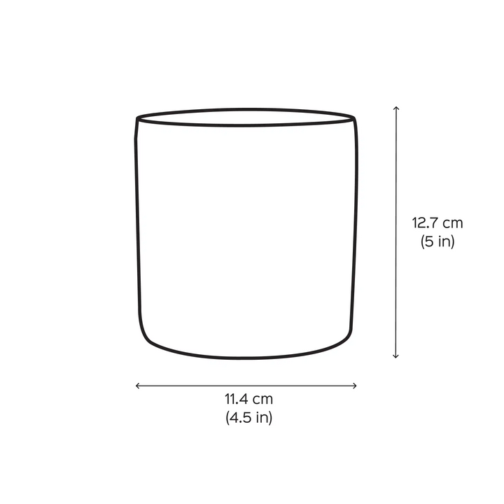 Customized Hand-Painted Pet Mother Terracotta Planter