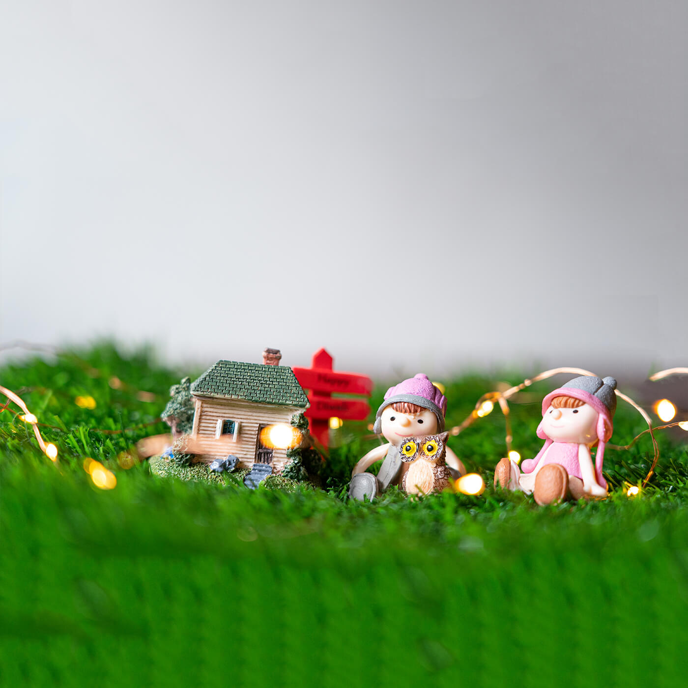 Buy Festive Miniature Set for DIY Gardening Online On Zwende
