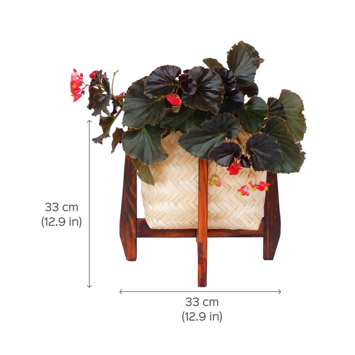 Handcrafted Bamboo Large Planter With Stand - Zwende
