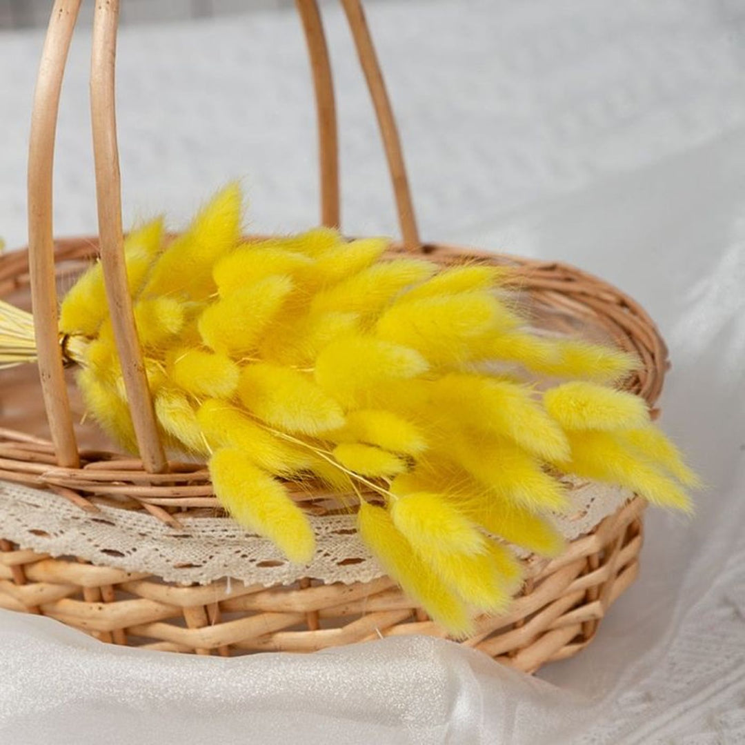 Handcrafted Dried Bunny Tails Flower Decor Bunch