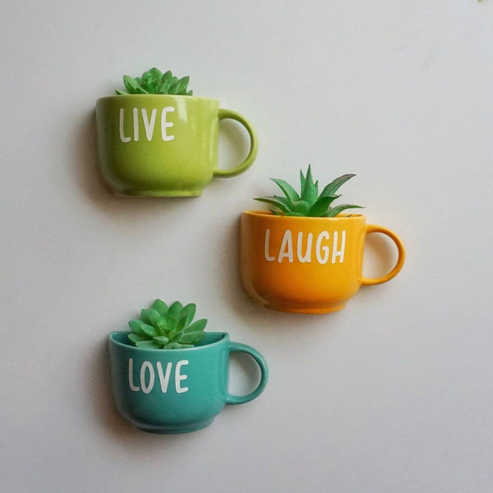 Themed Ceramic Cup Planter Set - Live Laugh Love