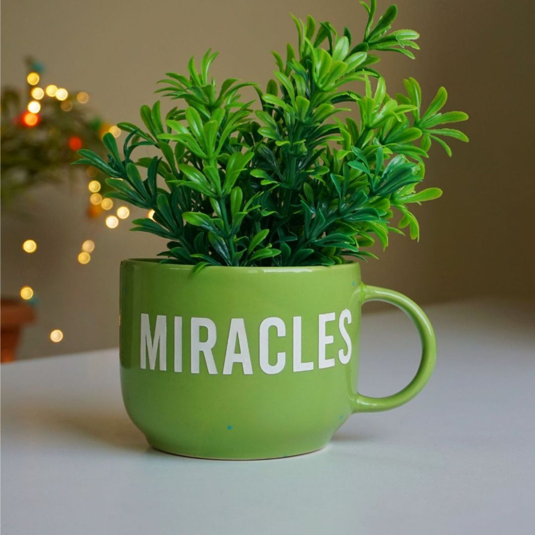 Themed Ceramic Cup Planter Set - Miracles Happen