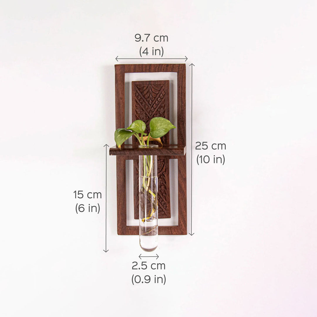 Bagan Wall Mounted Test Tube Planter