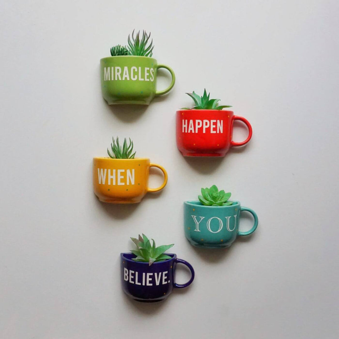 Themed Ceramic Cup Planter Set - Miracles Happen