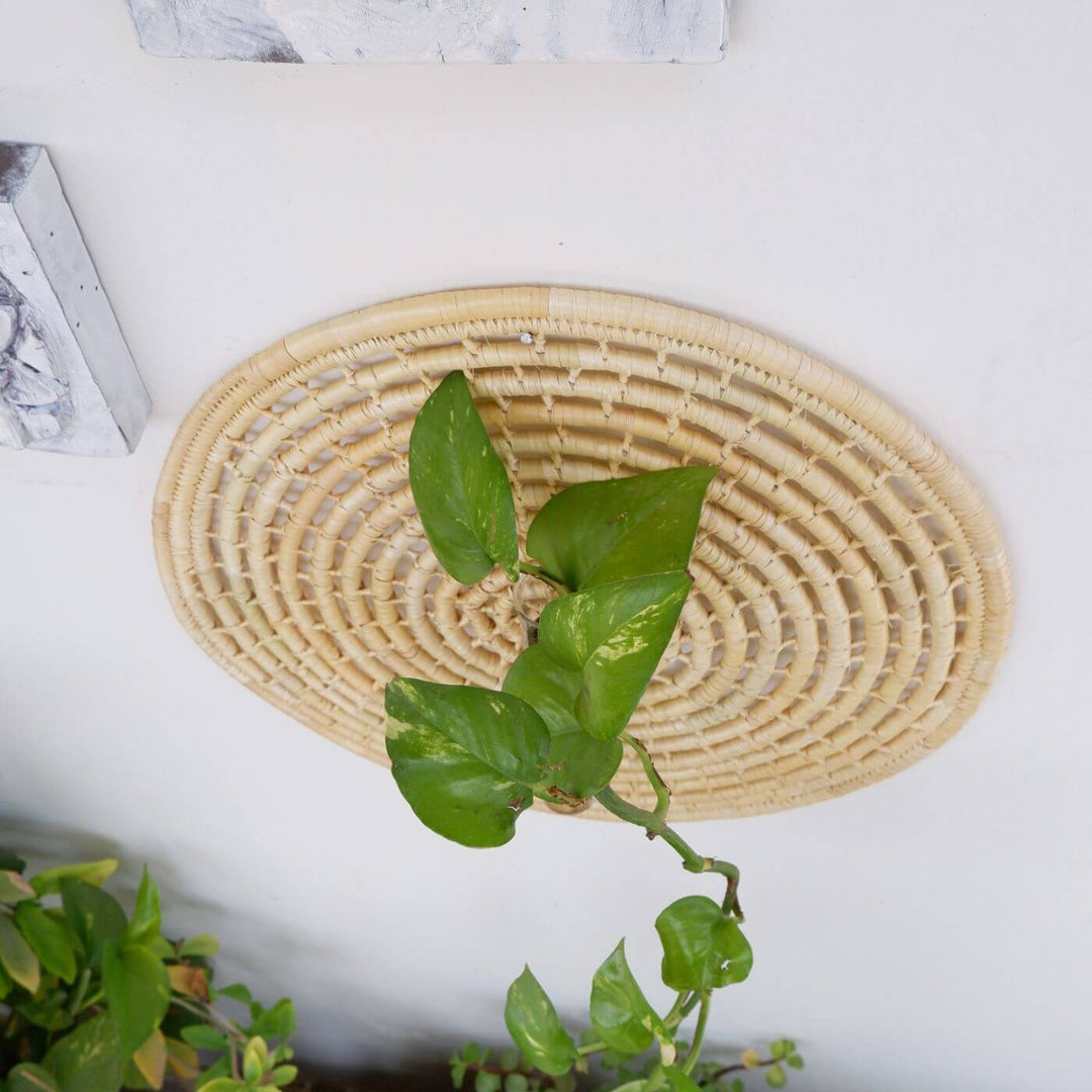 Handcrafted Moonj Grass Spiral Wall Decor