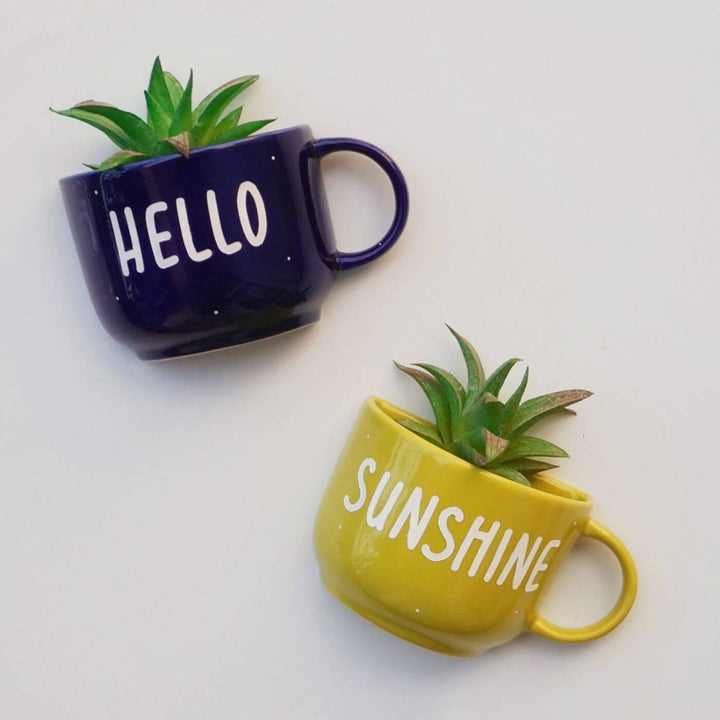 Themed Ceramic Cup Planter Set - Hello Sunshine