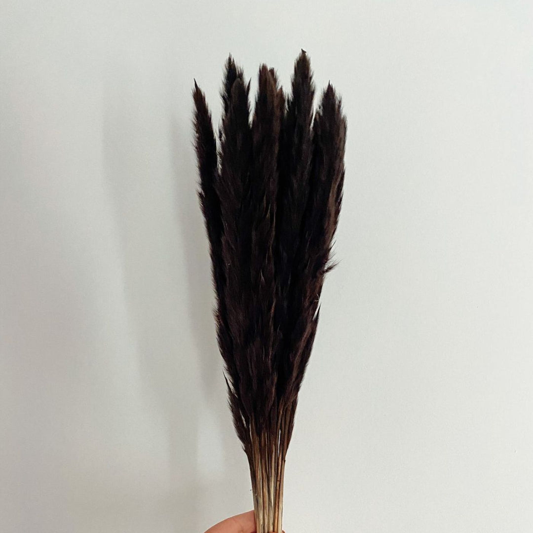 Handcrafted Dried Mini Pampas Black Flower Decor Bunch