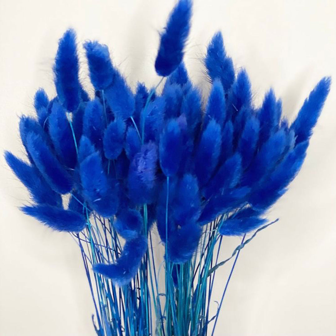 Handcrafted Dried Bunny Tails Flower Decor Bunch