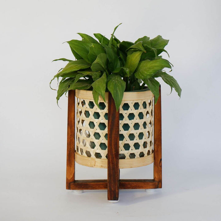 Handcrafted Classic Bamboo Planter With Stand - Zwende