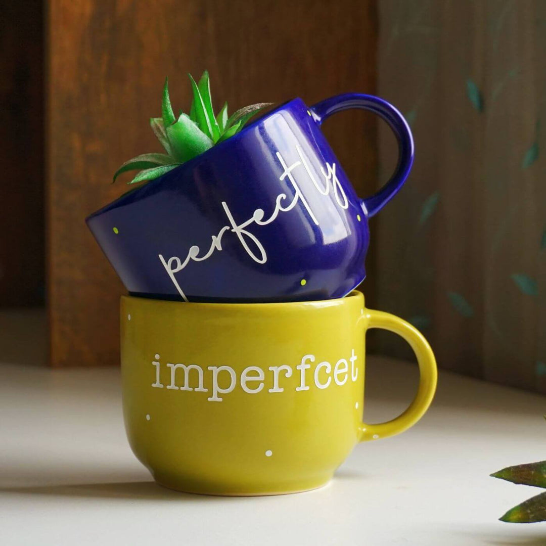 Themed Ceramic Cup Planter Set - Perfectly Imperfect