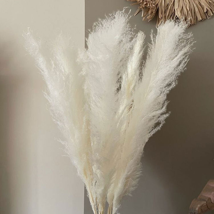 Handcrafted Dried XL Pampas Flower Decor Bunch