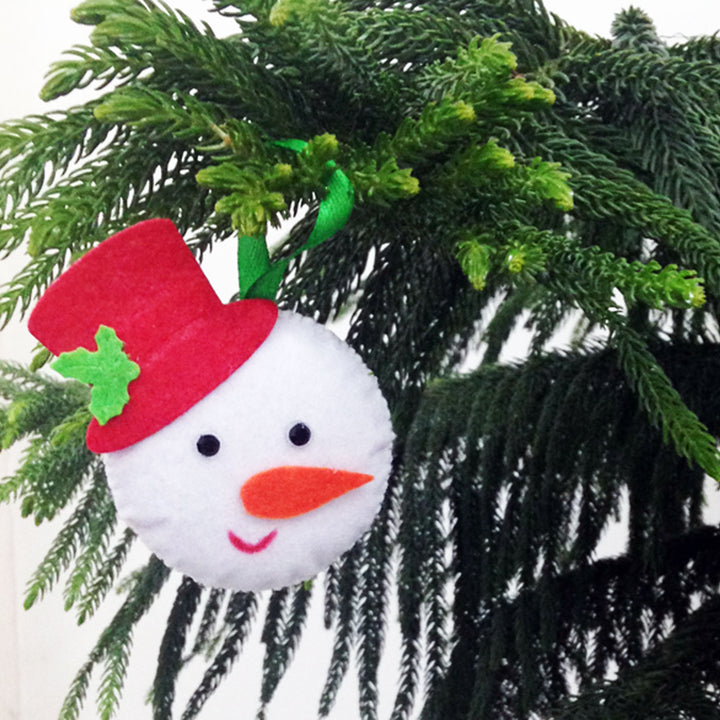 Handmade 3D Colourful Assorted Felt Ornaments For Christmas Tree Decoration | Set Of 5