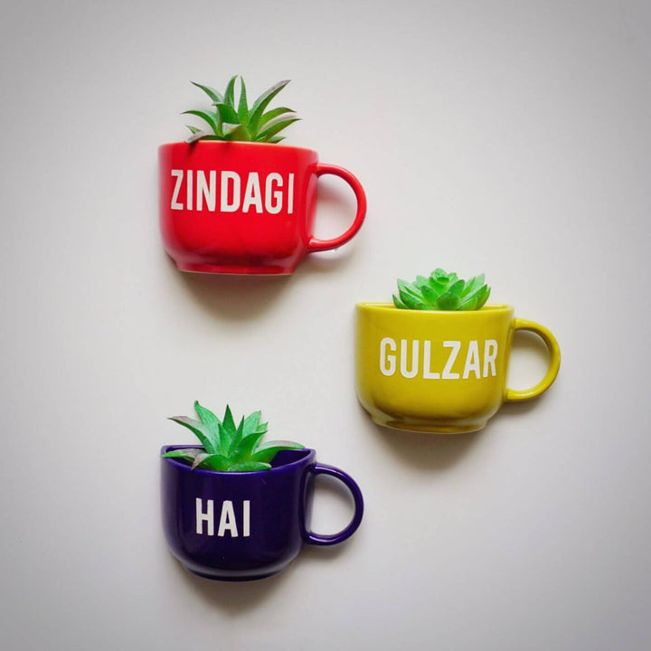 Themed Ceramic Cup Planter Set - Zindagi Gulzar Hai