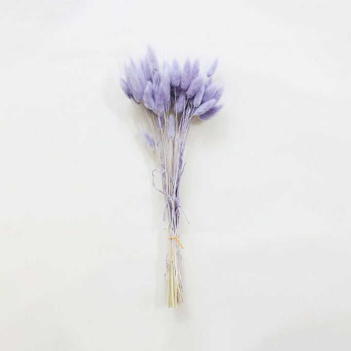Handcrafted Dried Bunny Tails Flower Decor Bunch