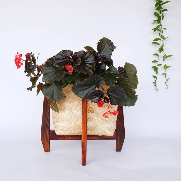 Handcrafted Bamboo Large Planter With Stand - Zwende