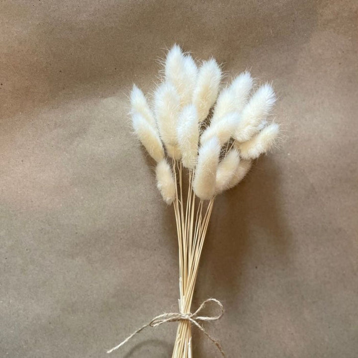 Handcrafted Dried White Bunny Tails Flower Decor Bunch