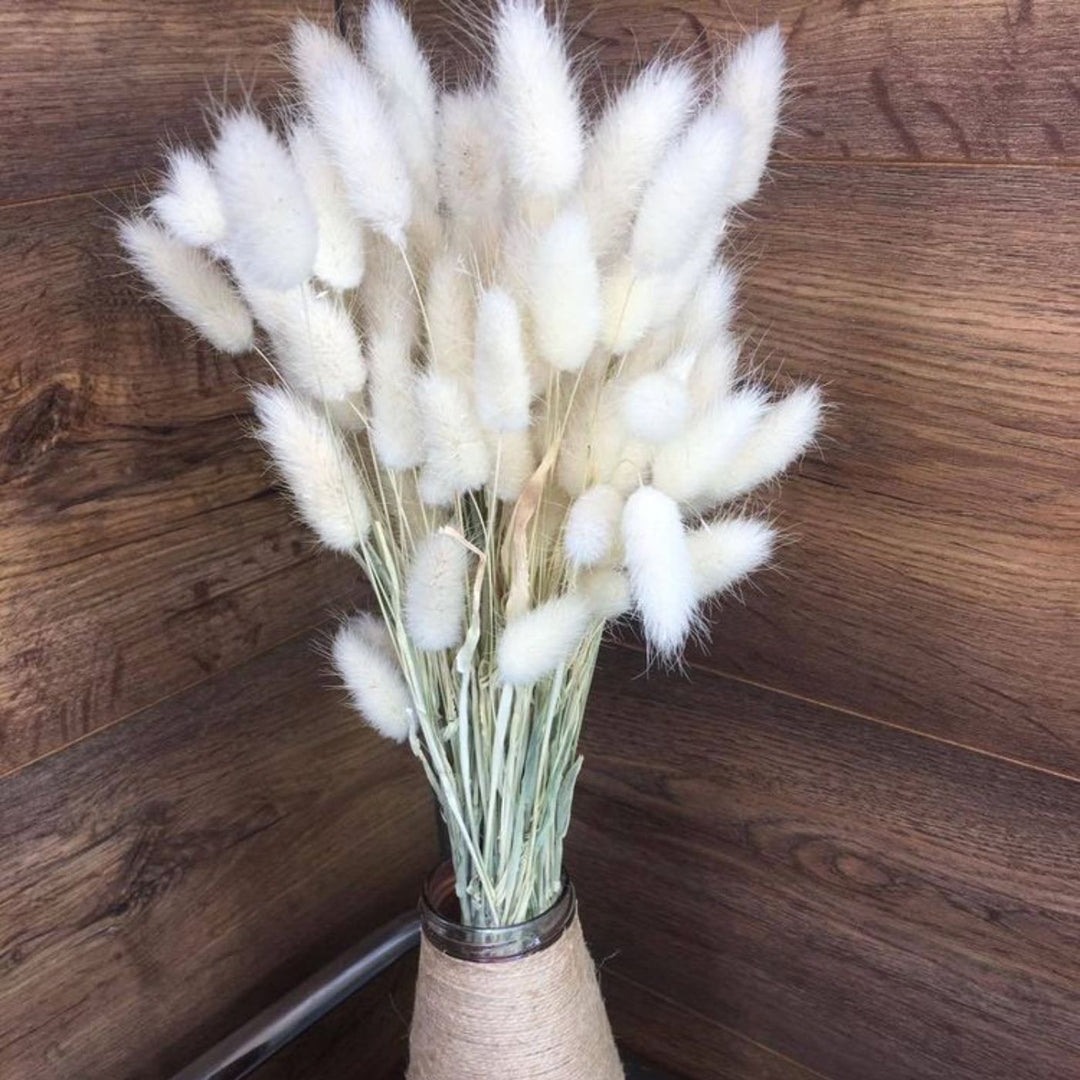 Handcrafted Dried White Bunny Tails Flower Decor Bunch