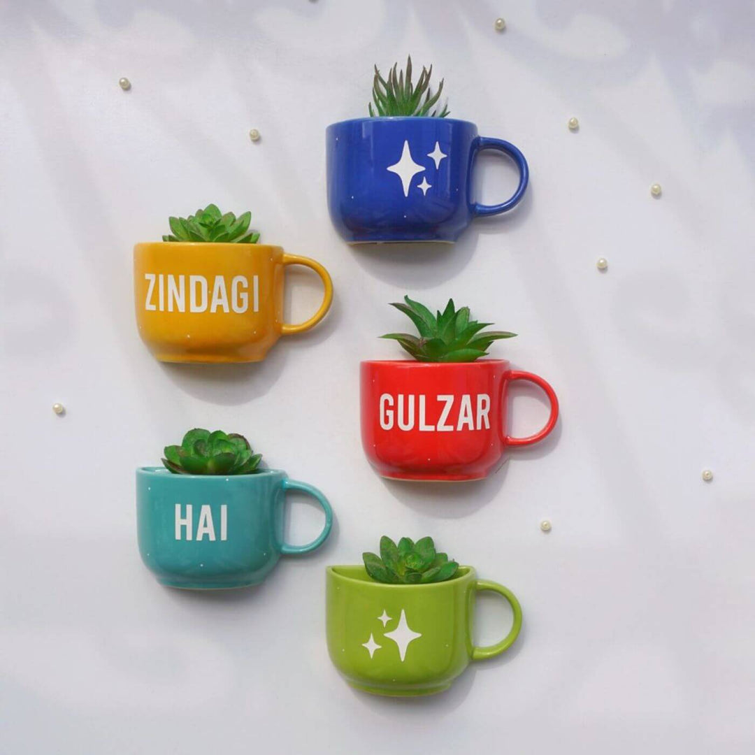 Themed Ceramic Cup Planter Set - Zindagi Gulzar Hai