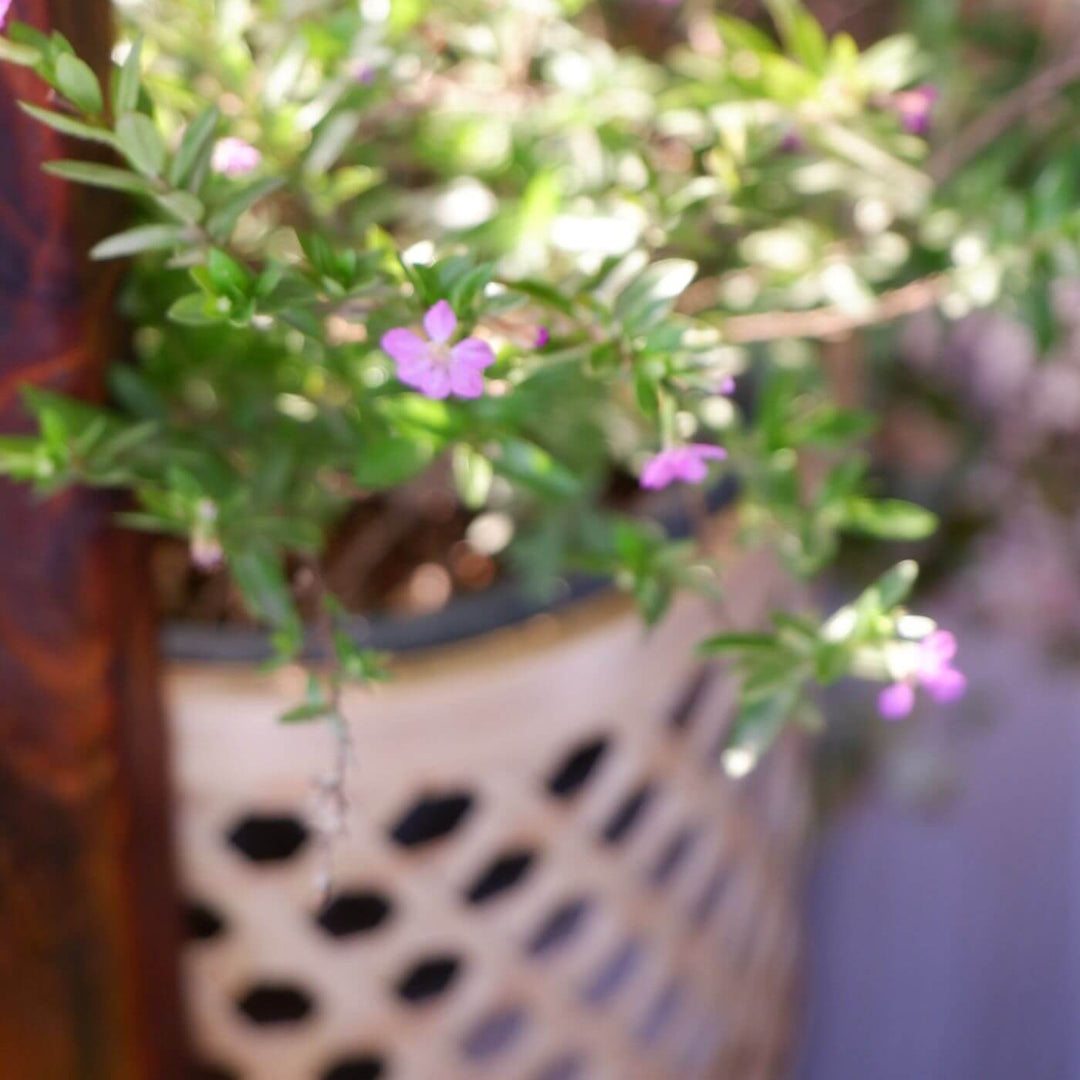 Handcrafted Bamboo Star Weave Planter With Handle