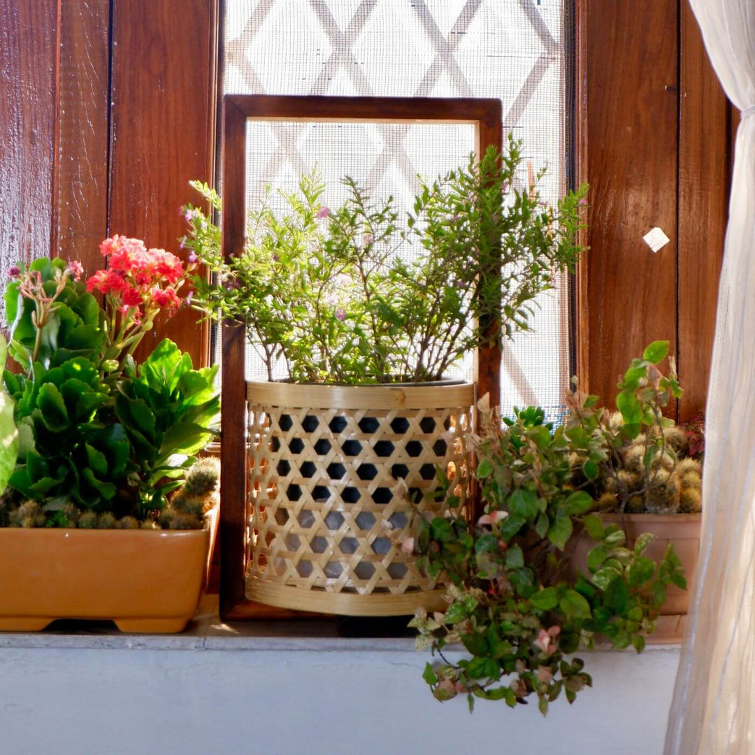 Handcrafted Bamboo Star Weave Planter With Handle