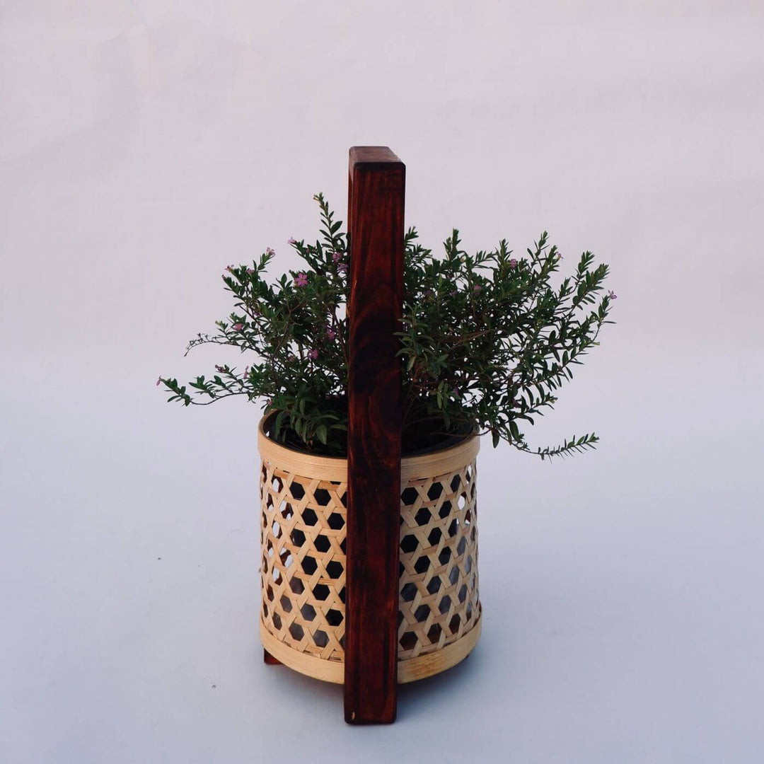 Handcrafted Bamboo Star Weave Planter With Handle