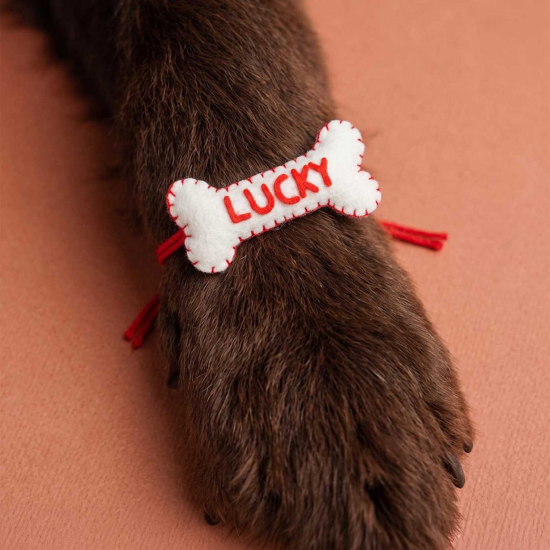 Personalized Handmade Bone Theme Felt Rakhi With Roli Chawal