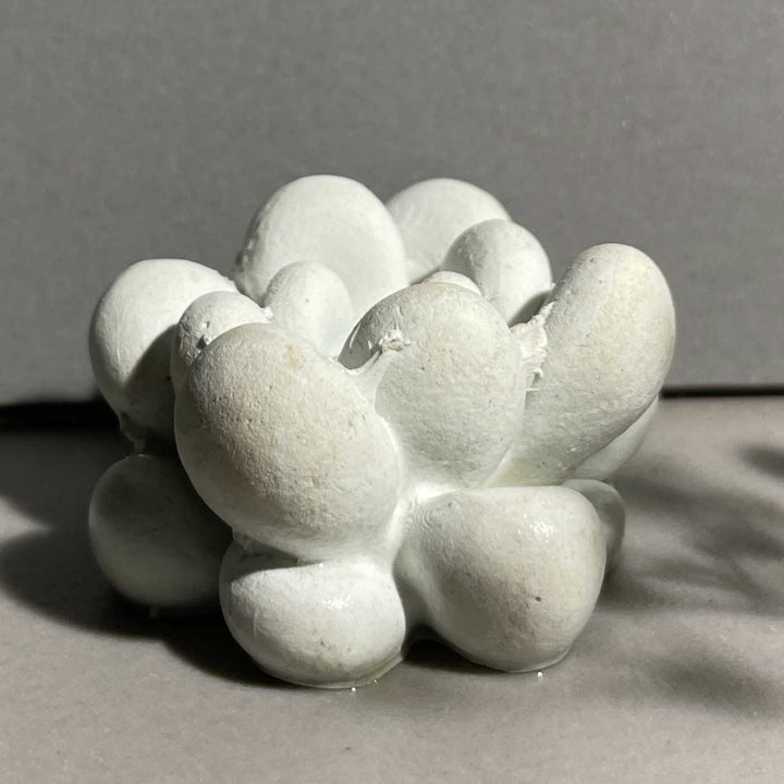 Handmade Luminous Concrete Gift Hamper | Includes 1 Ovoid Bowl Large, 1 Conch Shell Candle, 1 Urn, 2 Concrete Succulents