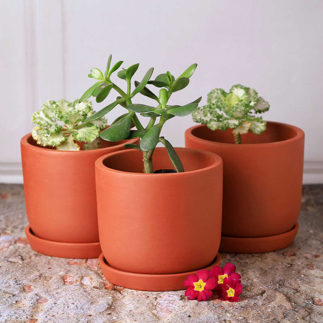 clay pots for planting flowers Buy Handmade Small 4 Inch Autumn Planter Terracotta Planter Pot Online On Zwende