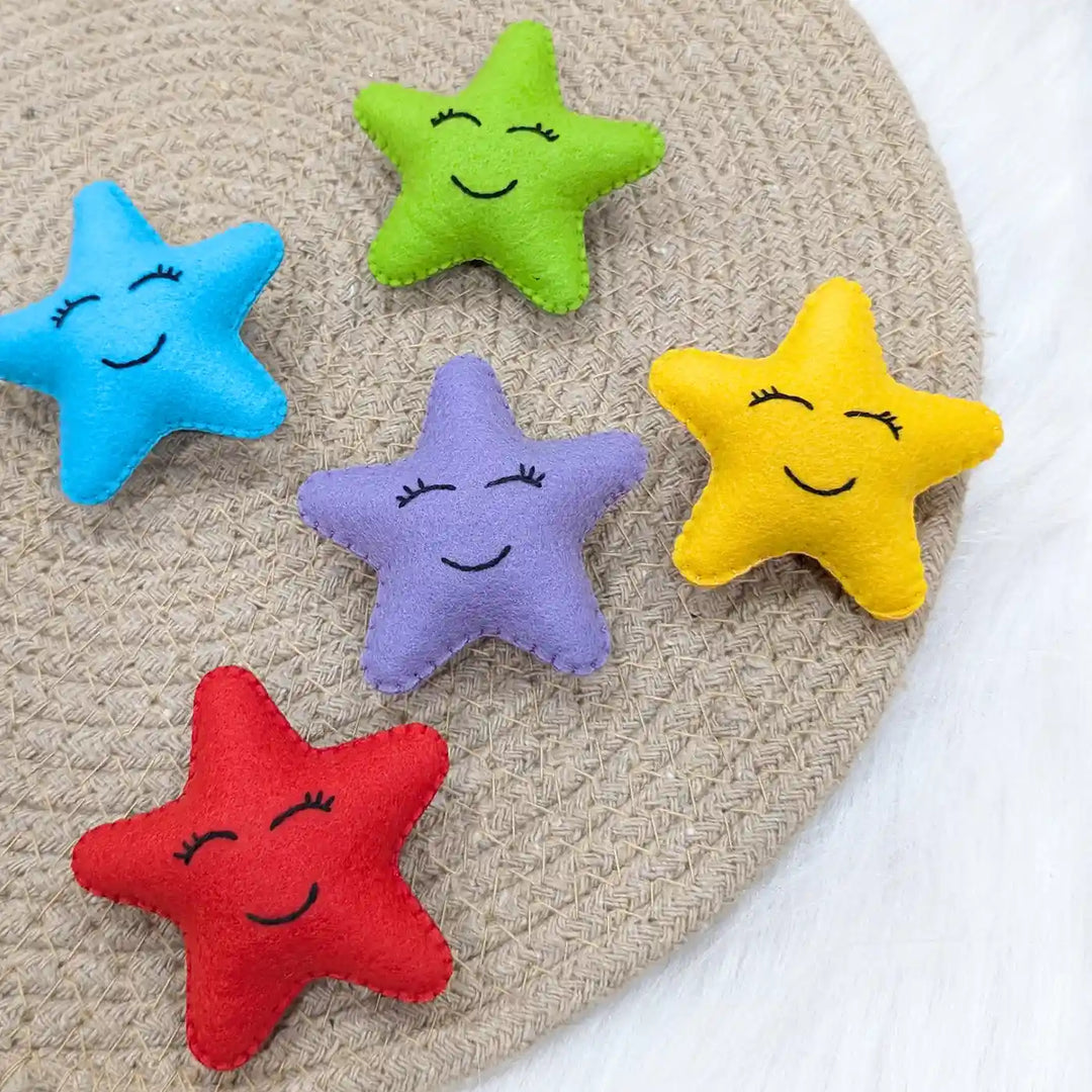 Handmade Bright Star Theme Felt Brooches | Set Of 5