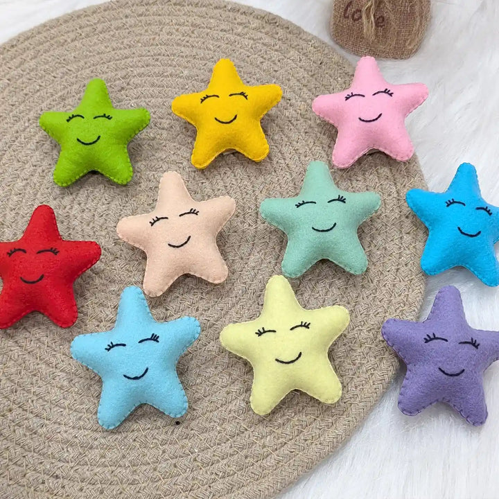 Handmade Smiley Star Theme Felt Brooches | Set Of 10