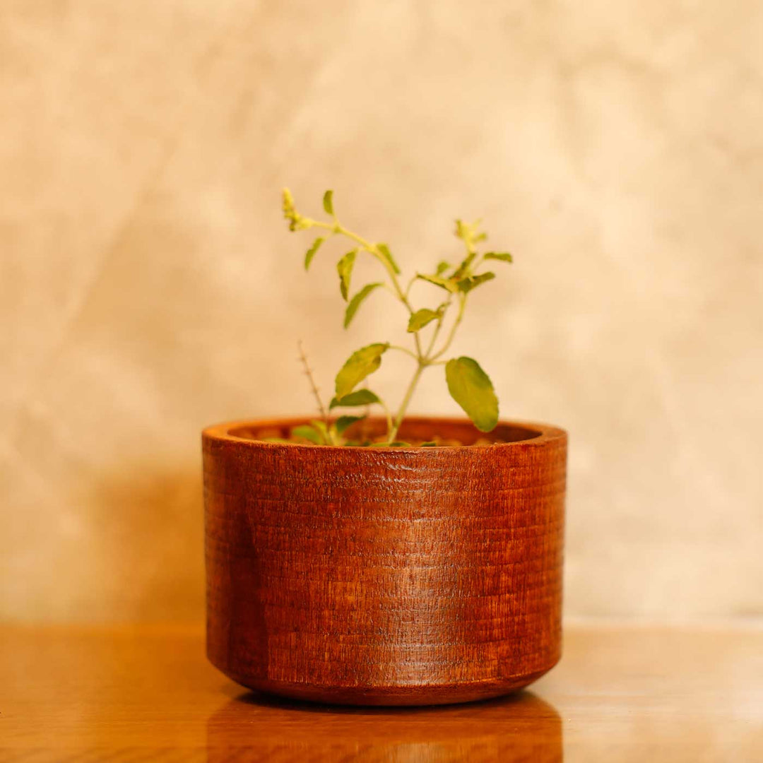 Handmade Prakriti Raksha Gift Hamper | Includes Mango Wooden Planter, Seed Crackers, Seed Jars, Cocopeat, Evil Eye Door Hanging, Cracker Instruction Card, Seed Card And Outer Box