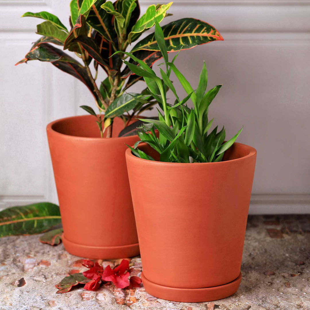 cone planter pot Buy Handmade Large 7.5 Inch Cone Planter Inch Terracotta Planter Pot Online On Zwende