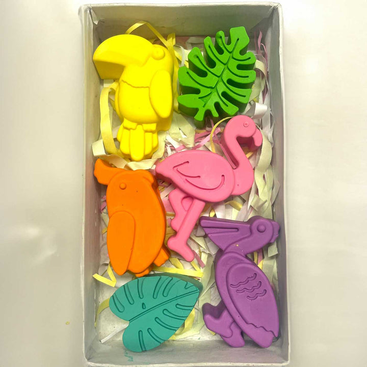 Handmade Non-Toxic Jumbo Bird Crayons | Set Of 6