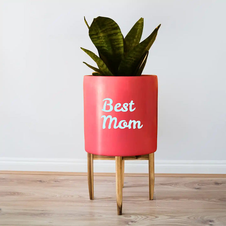 Customized Hand-Painted Best Mom Theme Terracotta Planter