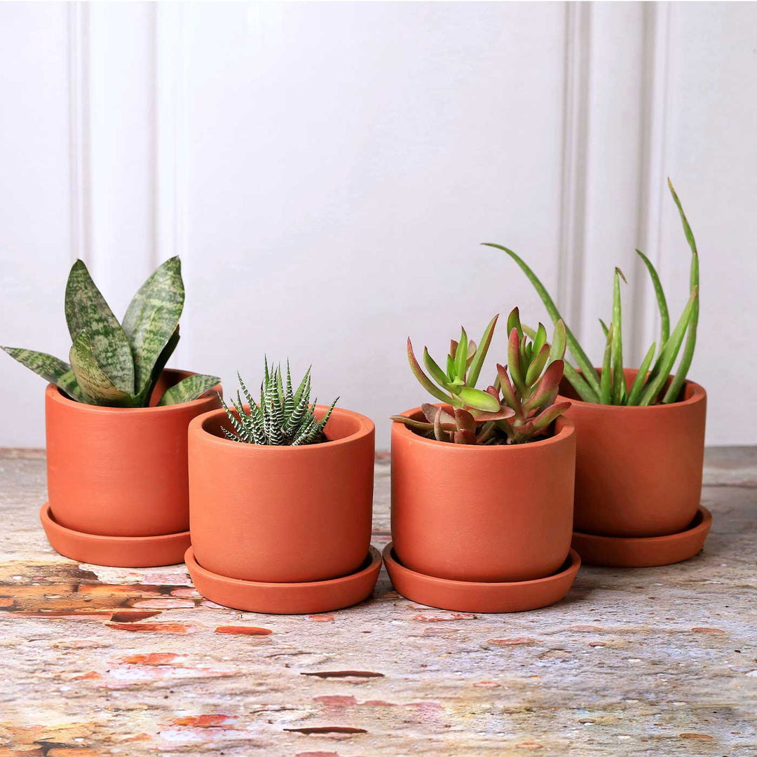 terracotta plant pots online Buy Handmade Medium 6 Inch Autumn Planter Terracotta Planter Pot Online On Zwende