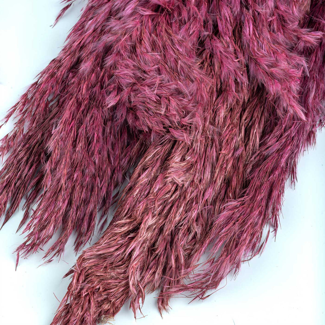 Vibrant Pink Natural Dried Pampas Grass Bundle