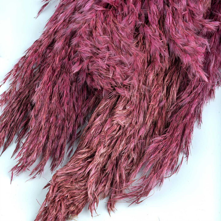 Vibrant Pink Natural Dried Pampas Grass Bundle