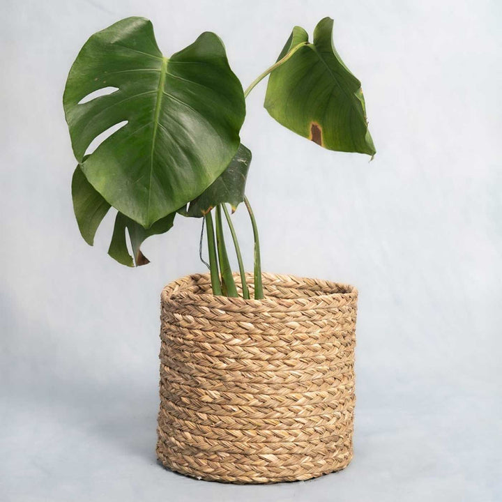 Handmade Grass Weaving Minimalist Twisted Texture Sabai Planter Cover