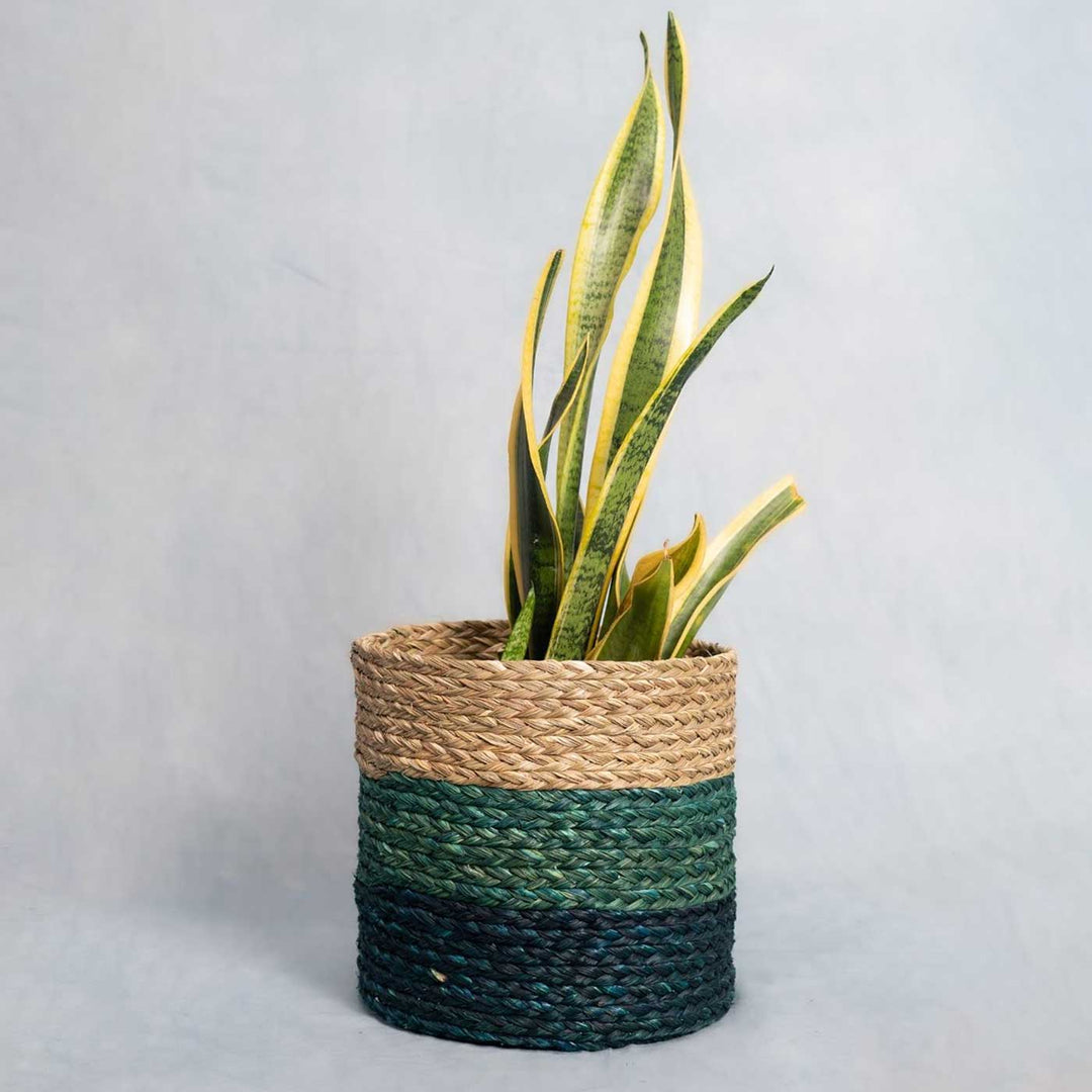 Handmade Grass Weaving Minimalist Twisted Texture Sabai Planter Cover