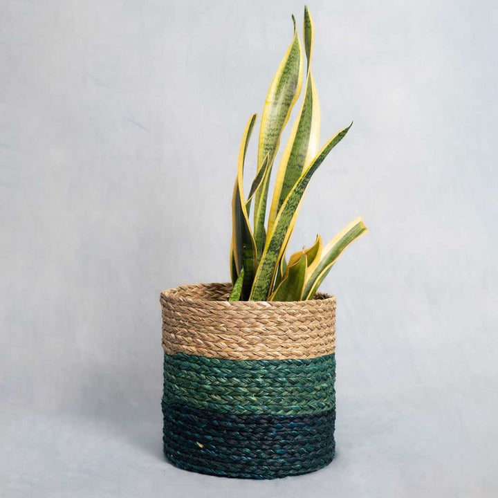 Handmade Grass Weaving Minimalist Twisted Texture Sabai Planter Cover