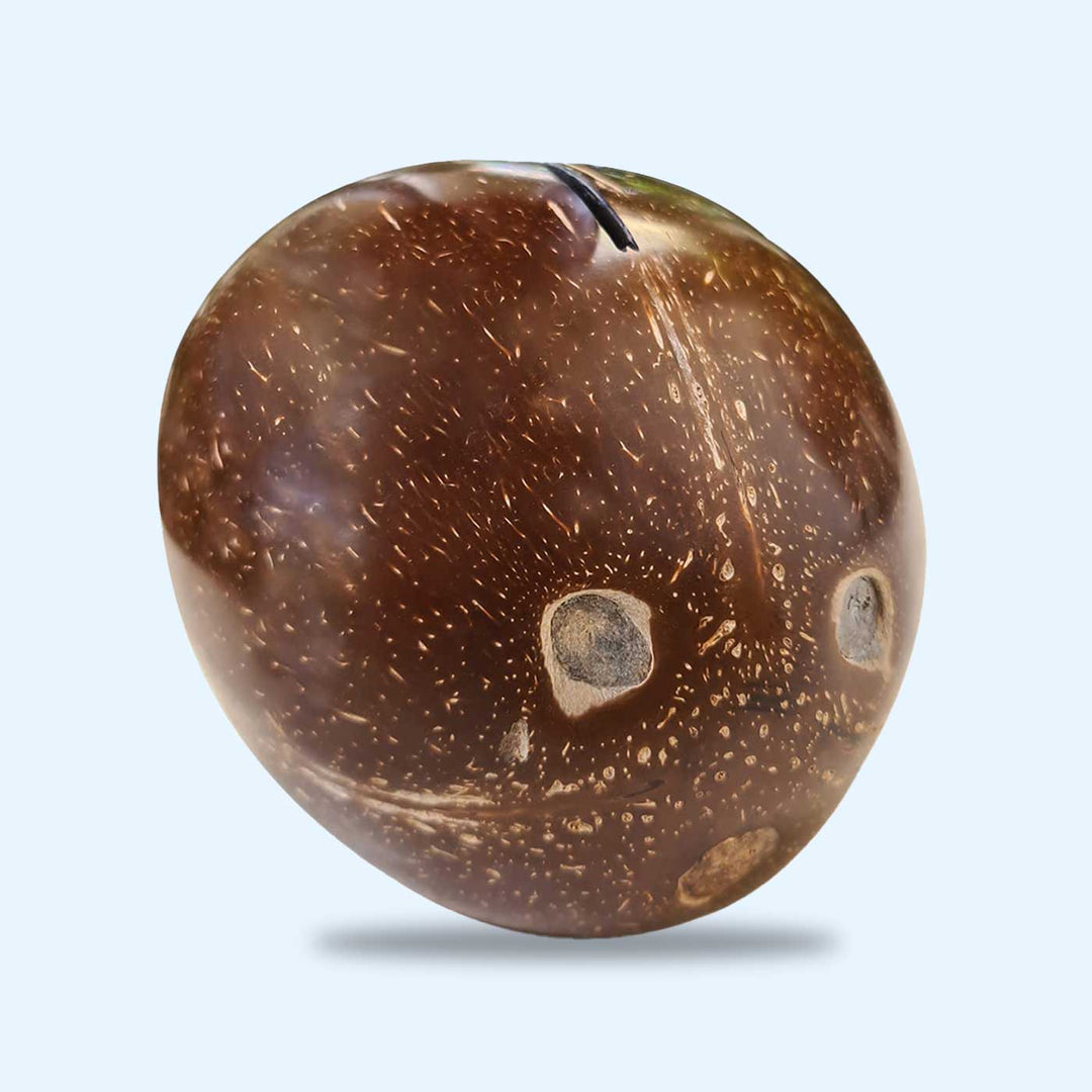 Eco-Friendly Handmade Kids Coconut Shell Piggy Bank